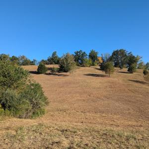PXL_20250918_125024396