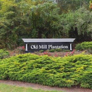 Old Mill - 1