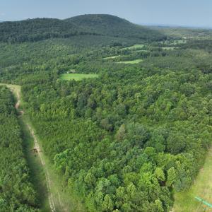 DJI_20250709143557_0007_V