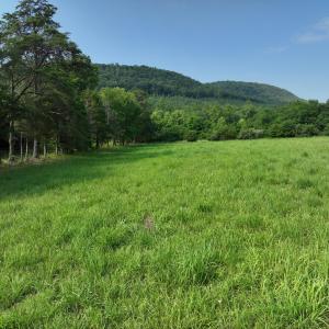 DJI_20250709145108_0010_V