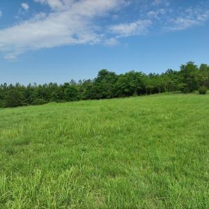 DJI_20250709145115_0012_V