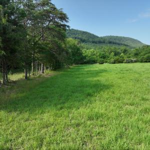 DJI_20250709145135_0014_V