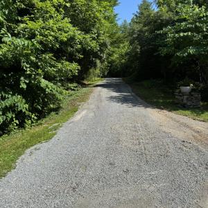 Tract 11 Mint Lane