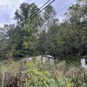 78050618109__B78CC85F-2880-4340-9EC3-77A