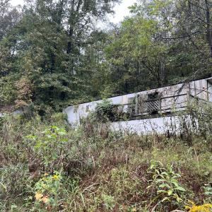 78050614691__EC383B71-4652-4362-8D4D-7BA