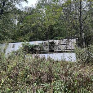 78050613576__0B4DA0A1-0E27-44E7-92C1-262