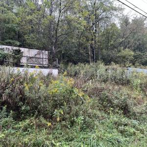 78050585413__FFDF941C-1162-4C15-BA5D-CC3