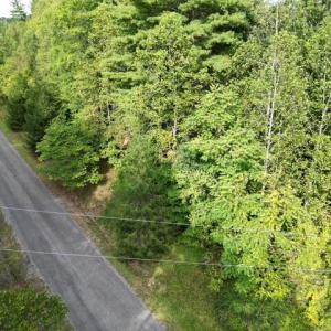 Wooded, Choose Your Home Site
