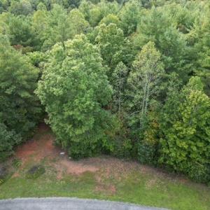 Mostly Wooded Tract
