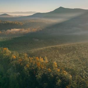 Botetourt 20 pic 24