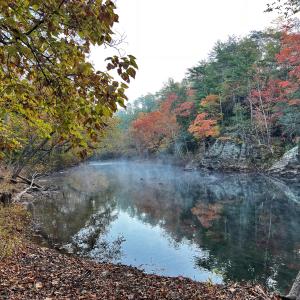 Botetourt 20 pic 13