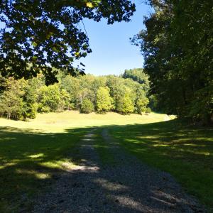 32 DJI_20250910152945_0173_D