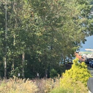 Photo #7 of Bluewater DR, Moneta, VA 1.0 acres