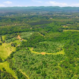 Photo #2 of 15371 SHEADS MOUNTAIN RD, RIXEYVILLE, VA 76.6 acres