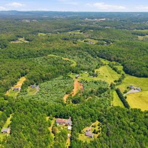 Photo #4 of 15371 SHEADS MOUNTAIN RD, RIXEYVILLE, VA 76.6 acres