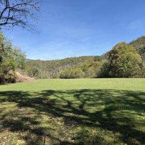 lower pasture