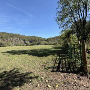Back Pasture