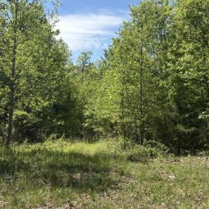 Photo #4 of DAVIS LN, ARODA, VA 75.7 acres