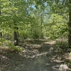 Photo #1 of DAVIS LN, ARODA, VA 75.7 acres