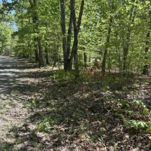 Photo #3 of DAVIS LN, ARODA, VA 75.7 acres