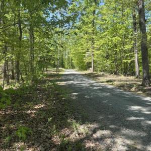 Photo #2 of DAVIS LN, ARODA, VA 75.7 acres