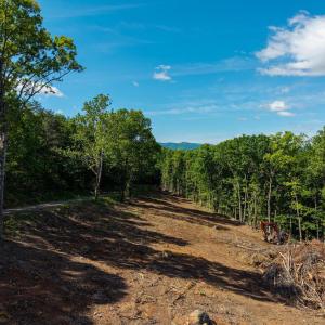 Photo #26 of CROSS MOUNTAIN RD, LURAY, VA 6.2 acres