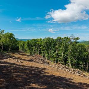 Photo #27 of CROSS MOUNTAIN RD, LURAY, VA 6.2 acres