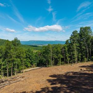 Photo #29 of CROSS MOUNTAIN RD, LURAY, VA 6.2 acres