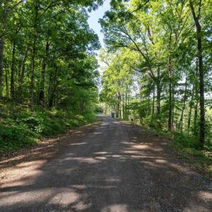 Photo #31 of CROSS MOUNTAIN RD, LURAY, VA 6.2 acres