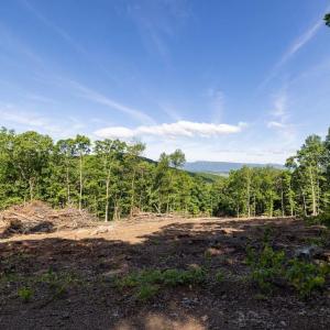 Photo #32 of CROSS MOUNTAIN RD, LURAY, VA 6.2 acres