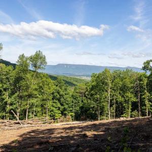 Photo #33 of CROSS MOUNTAIN RD, LURAY, VA 6.2 acres
