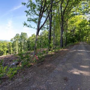 Photo #34 of CROSS MOUNTAIN RD, LURAY, VA 6.2 acres