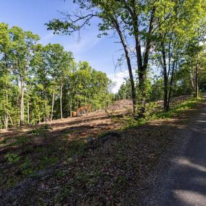 Photo #36 of CROSS MOUNTAIN RD, LURAY, VA 6.2 acres