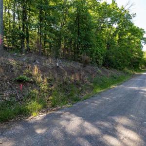 Photo #43 of CROSS MOUNTAIN RD, LURAY, VA 6.2 acres