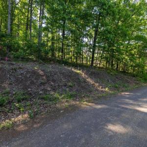 Photo #49 of CROSS MOUNTAIN RD, LURAY, VA 6.2 acres