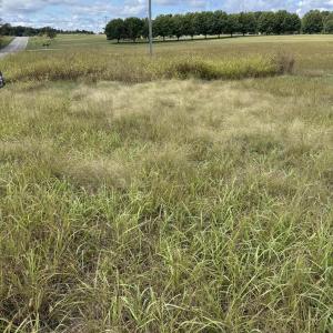 Photo Sep 26 2025, 12 15 23 PM