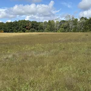 Photo Sep 26 2025, 12 15 29 PM