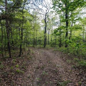 Photo #35 of CROSS CREEK RD, LURAY, VA 0.9 acres