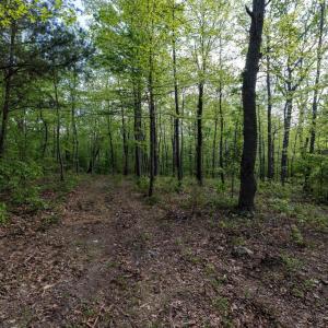 Photo #36 of CROSS CREEK RD, LURAY, VA 0.9 acres