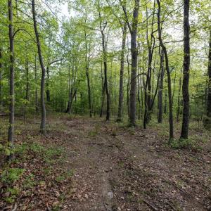 Photo #37 of CROSS CREEK RD, LURAY, VA 0.9 acres