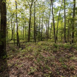 Photo #4 of CROSS CREEK RD, LURAY, VA 0.9 acres