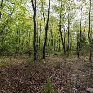 Photo #38 of CROSS CREEK RD, LURAY, VA 0.9 acres