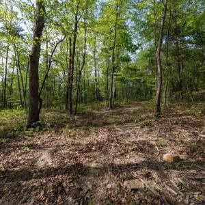 Photo #39 of CROSS CREEK RD, LURAY, VA 0.9 acres