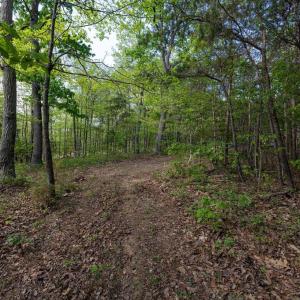 Photo #40 of CROSS CREEK RD, LURAY, VA 0.9 acres