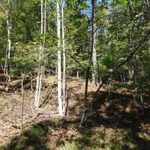 Lot 24 Cedar Bluff Ln