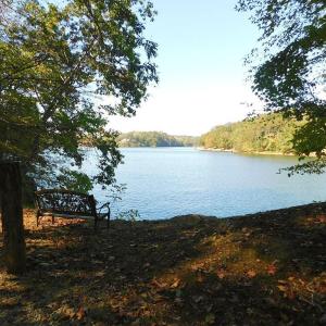 Bench and Lake View