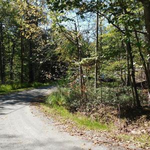 Pic #6 - Curve in Road - Lot to right