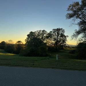 IMG_2766