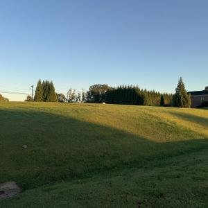 IMG_2767
