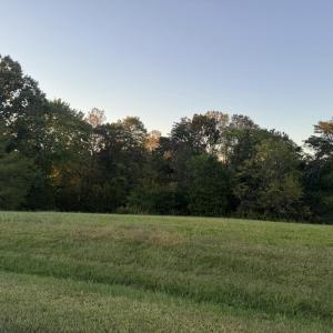 IMG_2768